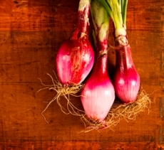 Post image for Eat Local, Eat Healthy, Practice Ahimsa!