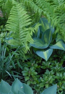 Post image for Let it Green, Let it Green, Let it Green!