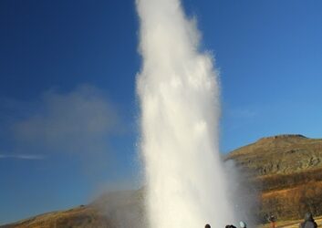 Confessions of a Kombucha Virgin