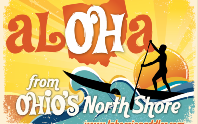 With A Little Help from My Friends