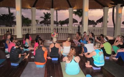 Pictures of Yoga In Paradise